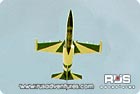 Flight L-39: flight Training